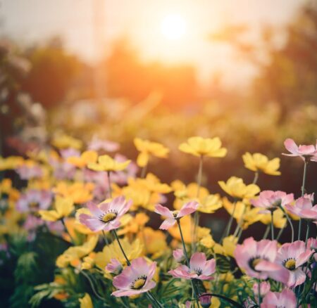 The 3 Most Threatening Garden Hazards For Children
